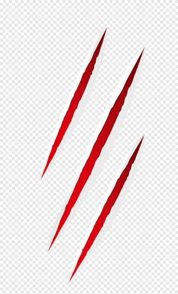 scratches